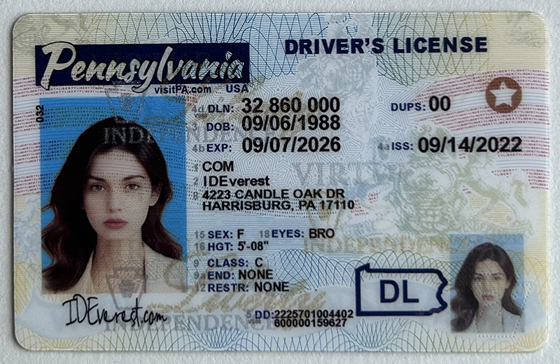 Pennsylvania Fake ID